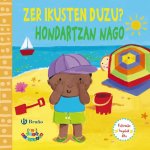 Zer ikusten duzu? Hondartzan nago