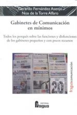 GABINETES DE COMUNICACION EN MINIMOS