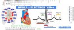 REGLA DE ELECTROS VELEZ