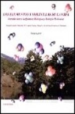 LOS ELEMENTOS Y MOLECULAS DE LA VIDA