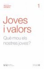 JOVES I VALORS