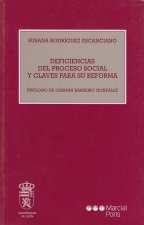 DEFICIENCIAS DEL PROCESO SOCIAL Y CLAVES PARA SU REFORMA