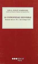 COPROPIEDAD INDIVISIBLE, LA