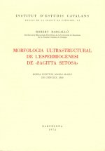 Morfologia ultrastructural de l'espermiogénesi de 