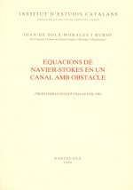 Equacions de Navier-Stokes en un canal amb obstacle