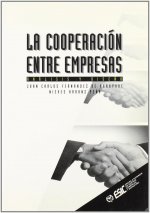 La cooperación entre empresas: análisis y diseño