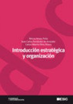 Introducción estratégica y organización
