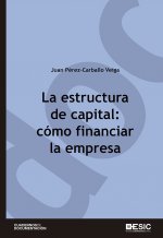 La estructura de capital: cómo financiar la empresa