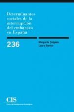 Determinantes sociales de la interrupción del embarazo en España (E-book)