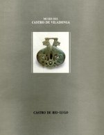 Museo del Castro de Viladonga
