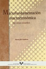MICROFUNDAMENTACION MACROECONOMICA EJERCICIOS