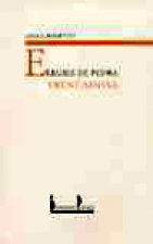 Elegies de pedra trencadissa