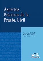 Aspectos Prácticos de la Prueba Civil.