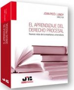 El aprendizaje del Derecho Procesal.