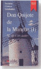 DON QUIJOTE I LCG3 VIDEO