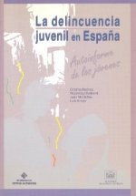 La delincuencia juvenil en españa, autoinforme de los jóvenes