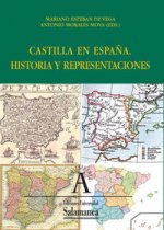 Castilla en España. Historia y representaciones