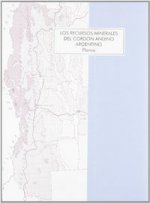 RECURSOS MINERALES DEL CORDON ANDINO ARGENTINO,LOS