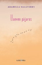 Llueven pájaros