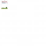 DISCOVERING SCIENCE 3 WORKBOOK