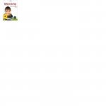 Discovering Science 4 - Student's Book