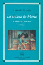 La encina de Mario