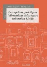 Percepcions, pràctiques i dimensions dels sectors culturals a Lleida