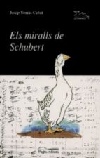 Els miralls de Schubert