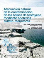 Atenuación natural de la contaminación de las balsas de fosfoyeso mediante bacterias sulfato UVP red