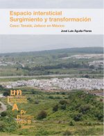 Espacio intersticial. Surgimiento y transformación. Caso: Tonalá, Jalisco en México