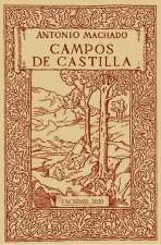Campos de Castilla