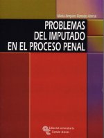 Problemas del Imputado en el proceso penal