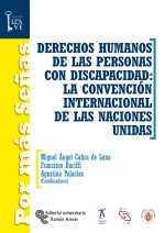Derechos humanos de las personas con discapacidad: la convención internacional de las Naciones Unida