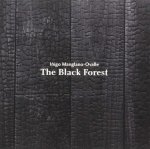 Iñigo Manglano-Ovalle. The Black Forest