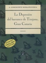 ANALISIS DEL ORIGEN Y EVOLUCION DE LA DEPRESION DEL BARRANCO DE TIRATANA, GRAN CANARIA