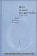 Bajo el cielo innumerable (2003-2004)