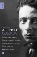 BIBLIOTECA ALONSO QUESADA, POESIA