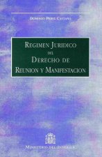 Régimen jurídico del derecho de reunión y manifestación