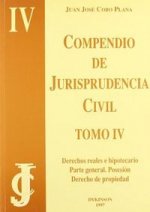 Derechos real e hipotecario, parte general, posesión y derecho de propiedad