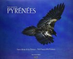 Faune sauvage des Pyrénées