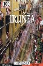 Los 100 paisajes Iruñea