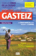Montes desde Gasteiz