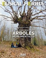 Rutas para descubrir árboles monumentales