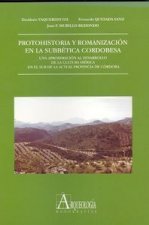Protohistoria y romanización en la Subbética cordobesa. Una aproximación al desarrollo de la cultura