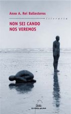 Non sei cando nos veremos