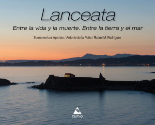 Lanceata