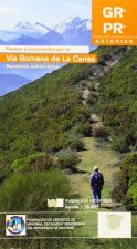 VIA ROMANA DE LA CARISA