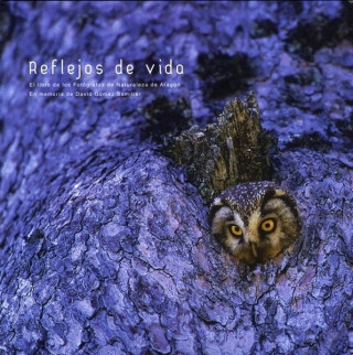 Reflejos de vida