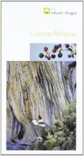 CUENCAS MINERAS