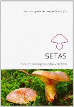 SETAS
